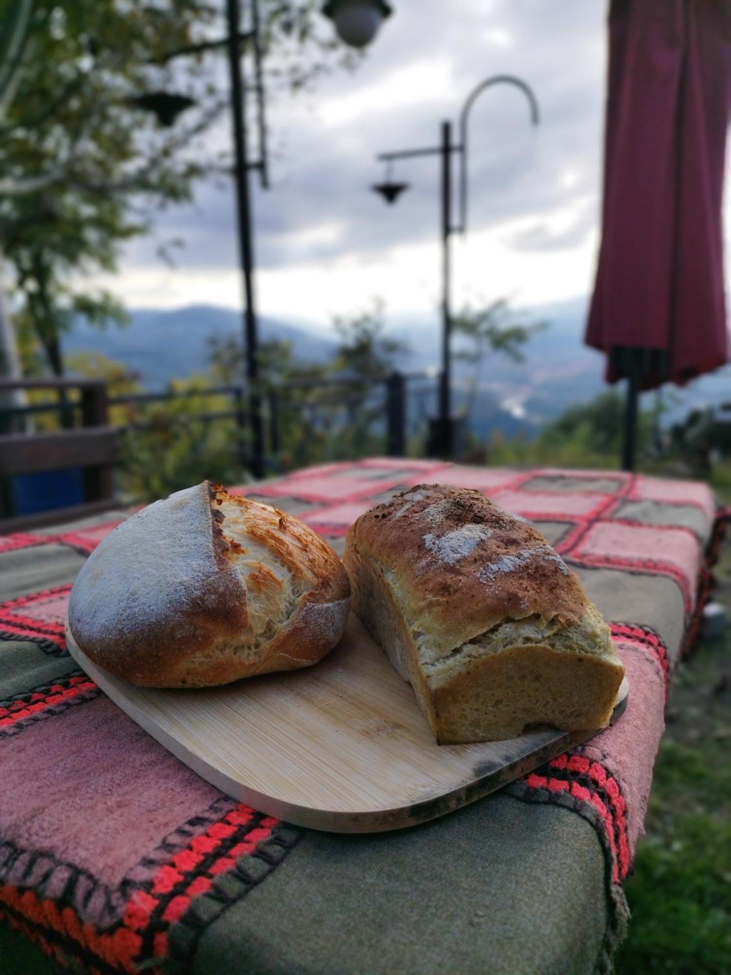 Hayat Oksijen Resort 오르두 외부 사진