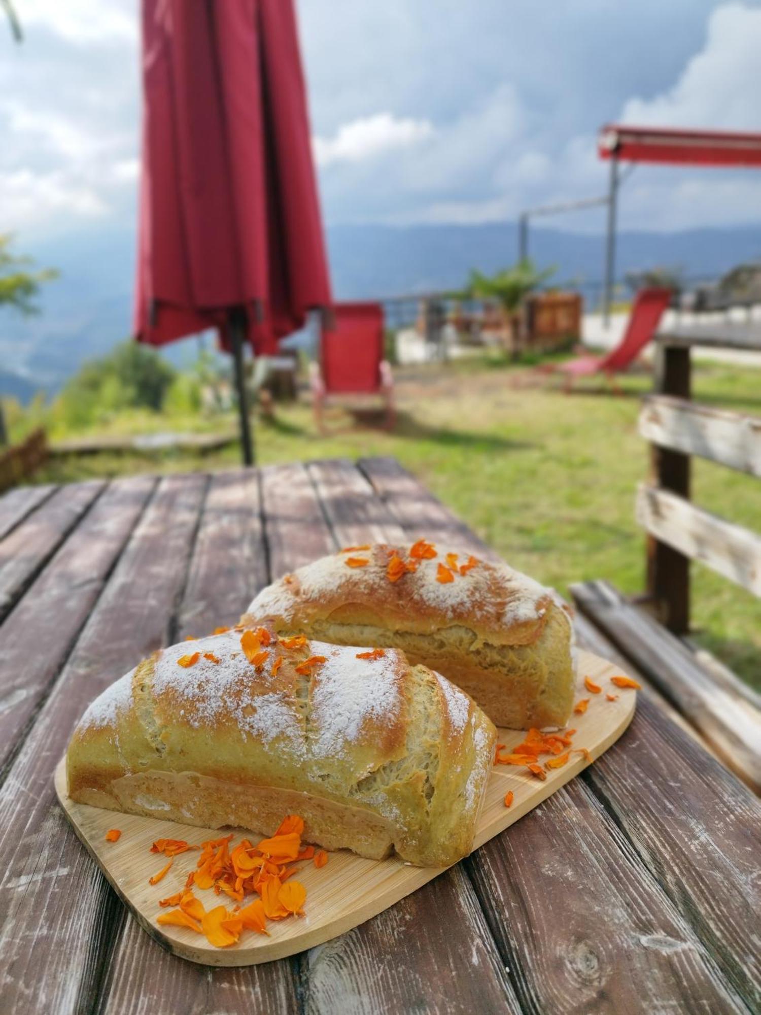 Hayat Oksijen Resort 오르두 외부 사진